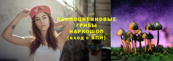 спайс Пересвет