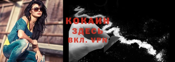 мяу мяу мука Пестово