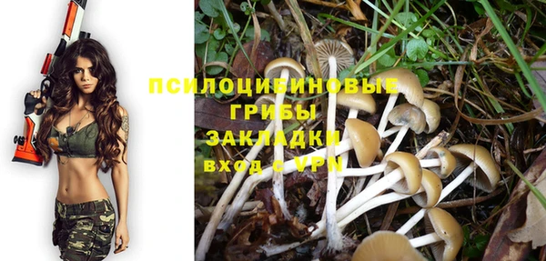 мдпв Галич