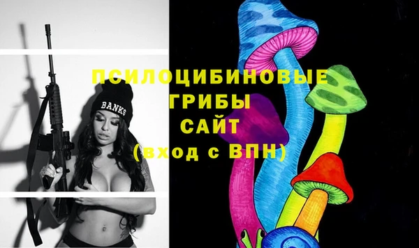 СК Переславль-Залесский