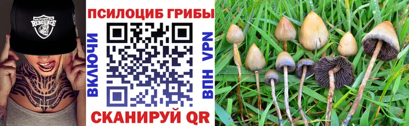 Псилоцибиновые грибы MAGIC MUSHROOMS Коркино