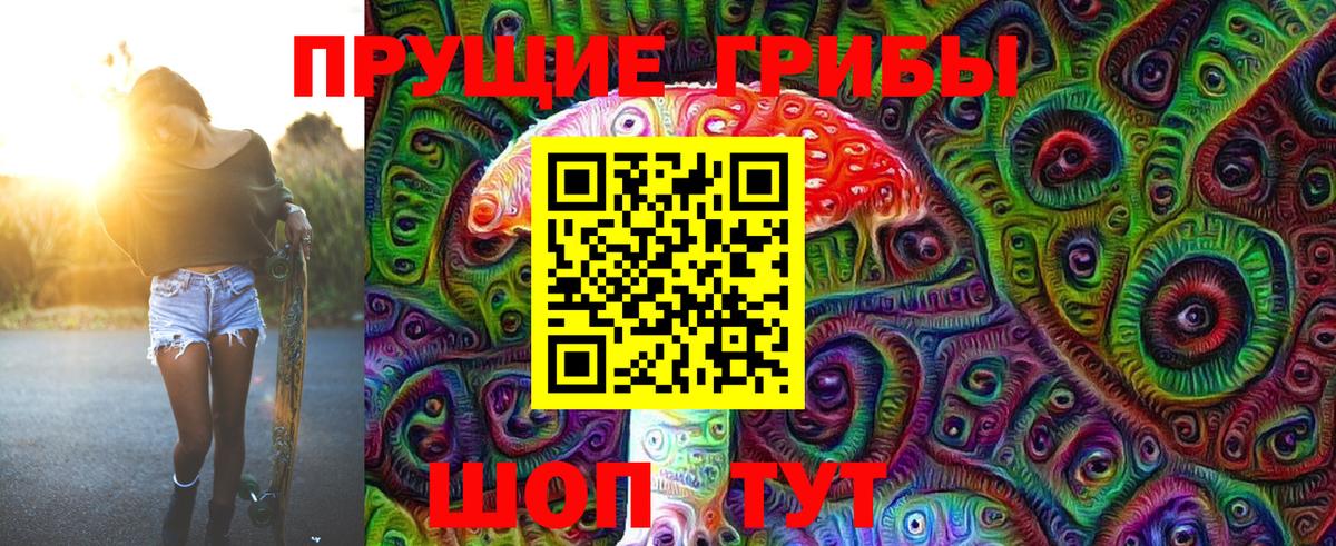 Псилоцибиновые грибы GOLDEN TEACHER  Вход с VPN  продажа наркотиков  Коркино 